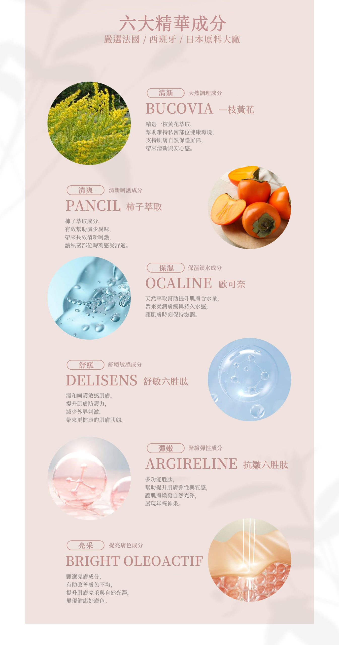 MS SCHEME 私密呵護精萃凝膠｜6入｜艾芙麗AIFULI
